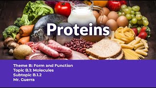 B12 Proteins  IB Biology SL NEW SYLLABUS First assessment 2025 [upl. by Woodson]