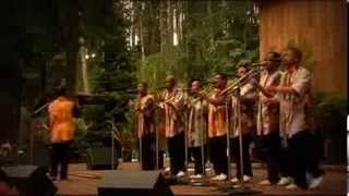 Long Walk to Freedom  Ladysmith Black Mambazo Live  Warren Saire DOPDIR [upl. by Chryste]