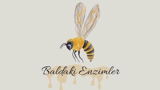 Balda Enzim mi Var  Are there enzymes in honey [upl. by Kiker968]