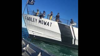 farley mowat san felipe [upl. by Nimsay]