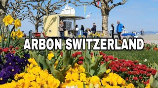 ARBON SWITZERLAND IN SPRING TIME [upl. by Coumas]