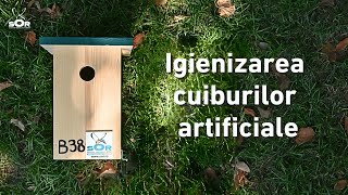 Igienizarea cuiburilor artificiale [upl. by Deck]