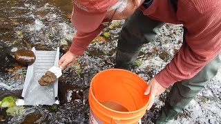 S2E14 Washington State Gold Mining  Small Creek Prospecting wth Pete [upl. by Doris]