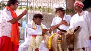 Back To Back Comedy Scenes Part  02  Evandi Aavida Vachindi Movie [upl. by Huberman]