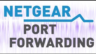 quotPort Conflict with Other Servicequot Error Solution with Netgear Port Forwarding [upl. by Eskil998]