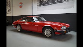 1991 Jaguar XJS V12 Coupe Collectors Edition Superb Survivor for sale [upl. by Martita]