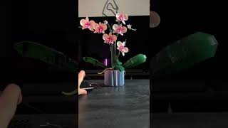 How to light up your LEGO orchid 💐 lego botanical [upl. by Anoid]