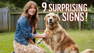 Youre a GREAT Dog Owner If You Notice These 9 Surprising Things [upl. by Liemaj]