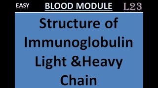 L23 Immunoglobulins  Structure of Immunoglobulins  Light chain  Heavy Chain [upl. by Blayne]