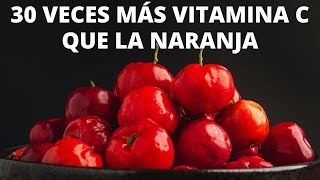 ¿Cuáles son las VITAMINAS y MINERALES de la Acerola Beneficios y tipos de ACEROLA [upl. by Ahsatsana220]