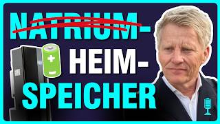 A Piepenbrink 💥 2025 Mit BatterieSpeicher DYNAMISCH einspeisen  Geladen Podcast [upl. by Airdnahc927]