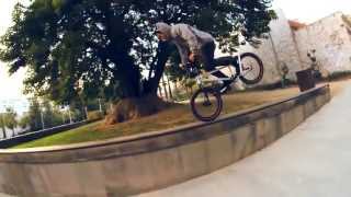 New Best BMX Tricks 5  Kings Of Freestyle  Summer 2013 Edit [upl. by Anaik]