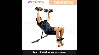 Peito  Fly Inclinado com Halteres Comentado [upl. by Camel]