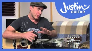 12 String Guitar Tuning Tips amp Tricks on a Maton Messiah Guitar Lesson TE501 [upl. by Burrton672]