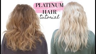 How to go PLATINUM BLONDE in one day [upl. by Hulbig324]