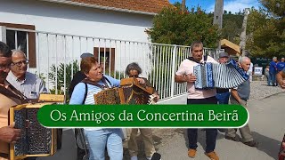 Os Amigos da Concertina BeirÃ£ 03 [upl. by Mccurdy]