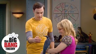 Sheldon Faces His Fear of Birds  The Big Bang Theory [upl. by Maxim]