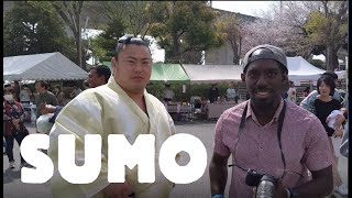 The Japanese Sumo Wrestling Experience [upl. by Levi182]