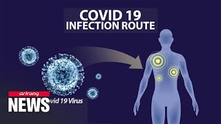 Main pathway of infection route of COVID19 virus has been found [upl. by Dona]