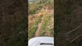 Crows Nest at Dunkeld mtb mountainbiking downhillbiking downhilllife mountains gopro pov [upl. by Mayram]