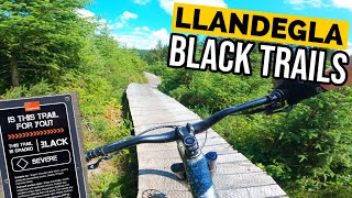 Llandegla Black Trails MTB at One Planet Adventure [upl. by Esened]