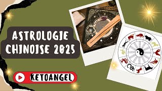 Astrologie Chinoise 2025 Horoscope et Prédictions de lAnnée du Serpent de Bois [upl. by Nillor]