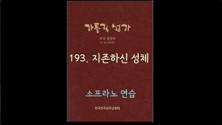 가톨릭성가 193 지존하신 성체 Soprano [upl. by Tomasz]