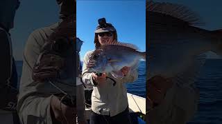 Snapper on WIRE TRACE fishing snapper fishingvideo fishinglife fishingtips fish bait ocean [upl. by Anawt718]