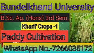 Crop Production Technology 1 Kharif crops 3rd Semester धान  BSc Agriculture 3rd sem cultivation [upl. by Phillips]