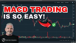 You Wont Believe This MACD Trading Hack Until You See It Yourself [upl. by Gregson]