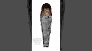 The Mummy of Amenhotep III Reburied in the Coffin of Seti Ii [upl. by Atiek]