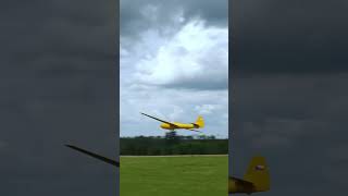 LF107 Lunak MUNZAR MODEL  5m scale RC glider rcglider rcaerotow [upl. by Kappel]