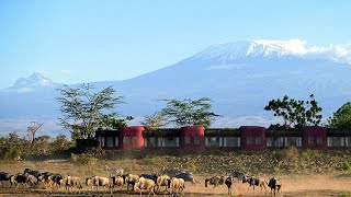 Amboseli Serena Safari Lodge [upl. by Imer656]