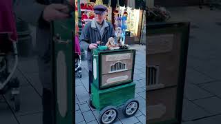 Barrel Organ Player  Düsseldorf Germany shorts [upl. by Phelia584]