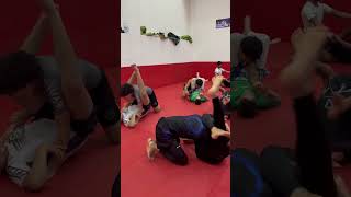 Treino básico de triângulo Jiu jitsu nogijiujitsu bjj jiujitsu mma jiujitsugrappling nogi [upl. by Nnylyt]