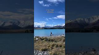 5 Day Trips from Christchurch New Zealand newzealandlife christchurch newzealandvlogs [upl. by Hally]