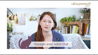 VOYAGER AVEC SON CHAT 🐱 LESATELIERSDEMARION [upl. by Fabe943]