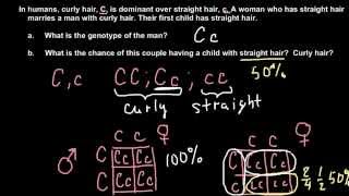 How to solve simple Mendelian genetics problems [upl. by Haim390]