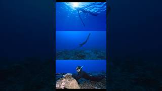 Chasse sousmarine a Moorea ocean shorts spearfishing [upl. by Yorel]