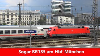 BR185 mischt mit im Gewusel der Züge am Hbf München [upl. by Yartnoed]