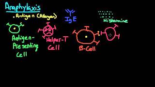 Anaphylaxis Pathophysiology [upl. by Casey]