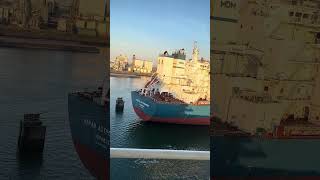 europe netherlands rotterdam europort travel ferry hulltorotterdam shorts short port 4k [upl. by Paten327]