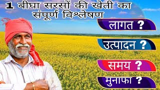 1 बीघा सरसो की खेती का संपूर्ण विश्लेषण  1 bigha sarso ki khati me kitna munafa [upl. by Ainsworth]