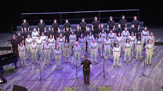 Hide and Seek Imogen Heap  Academy Singers at World Choir Games 2018 [upl. by Cloutman]