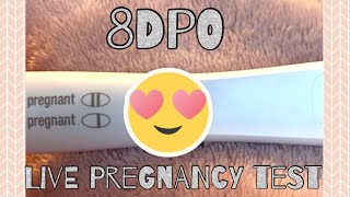 8DPO Live Pregnancy Test is this Our rainbow baby❓ ❤️🌈 [upl. by Anya789]