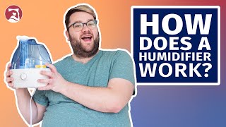 How Does a Humidifier Work [upl. by Nav964]