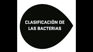 Clasificación de las bacterias [upl. by Nylyoj]