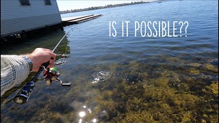 Can I Catch Every Fish in Perth Australia 21 Species Episode 1 [upl. by Coonan]