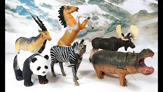 9 Incredible Wild Animals 3D Puzzle Toys  Panda Zebra Hippo Moose Horse Giraffe Mustang [upl. by Lajes99]