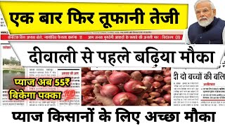 देखिए प्याज की तेजीमंदी रिपोर्ट प्याज में बड़ी तेजी अब बनेगी । onion rate todaypyaj ka bhav [upl. by Didier]